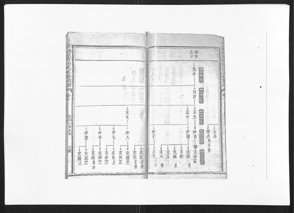 图片[6]-江西赣州石城县田背邱氏五修族谱电子版PDF下载-中华家谱网