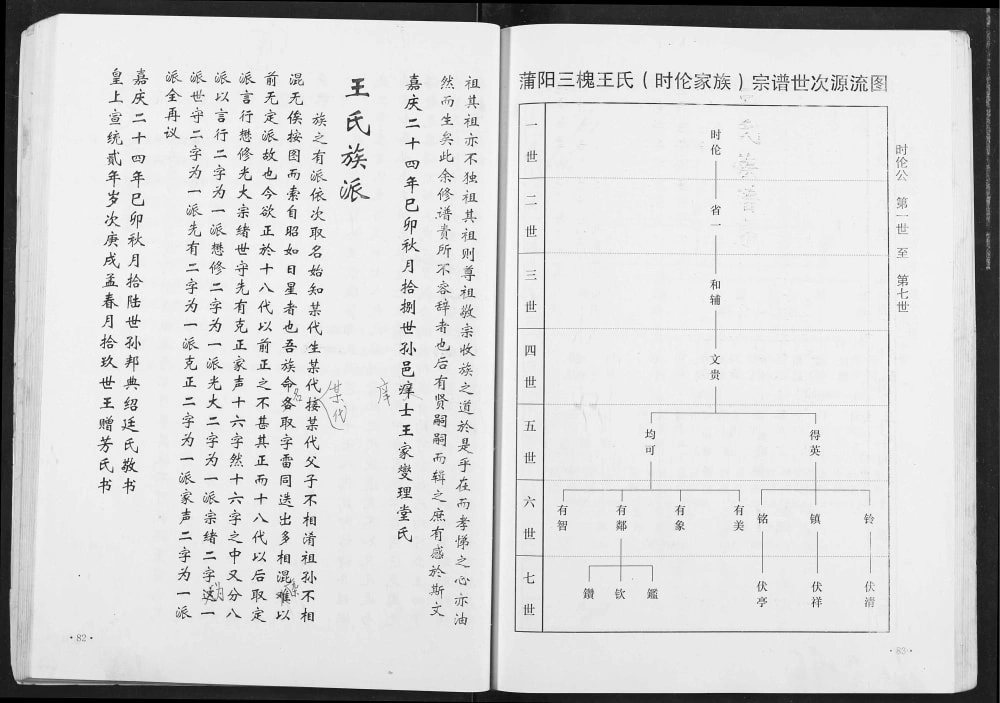 图片[3]-湖北应城蒲阳三槐王氏时伦家族王氏宗谱（三槐堂）电子版PDF下载-中华家谱网