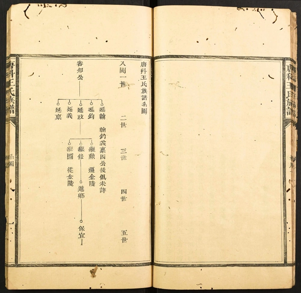 图片[3]-福建南平建阳区唐科王氏族谱电子版PDF下载-中华家谱网