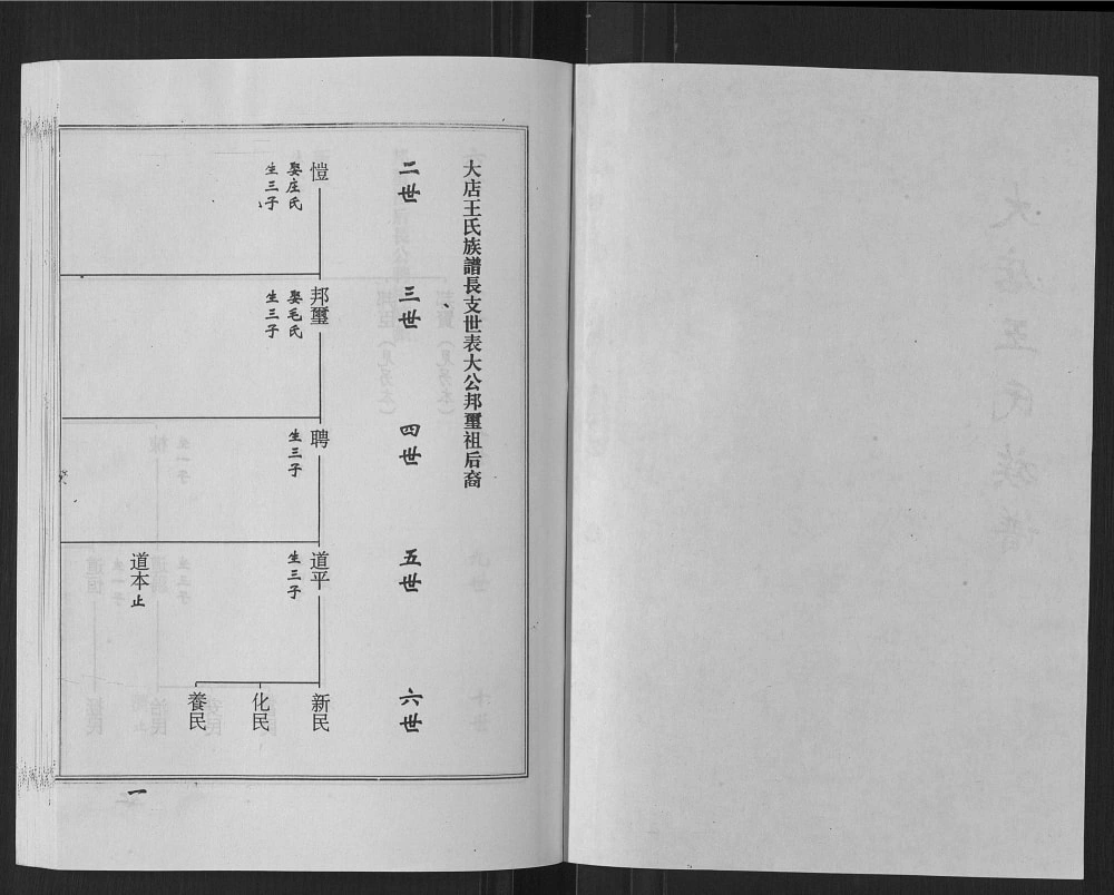 图片[6]-山东日照莒县鲁莒大店王氏族谱电子版PDF下载-中华家谱网