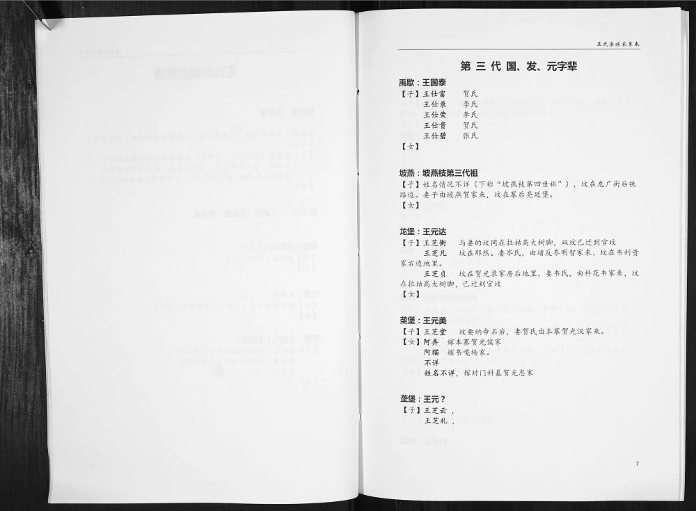 图片[5]-贵州黔西南安龙县王氏家史电子版PDF下载-中华家谱网