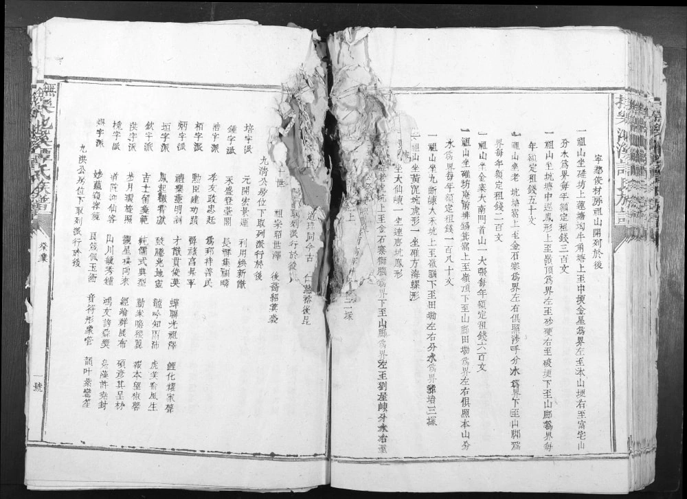 图片[2]-江西抚州乐安县抚乐池溪谭氏族谱电子版PDF下载-中华家谱网