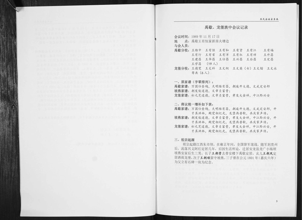 图片[3]-贵州黔西南安龙县王氏家史电子版PDF下载-中华家谱网