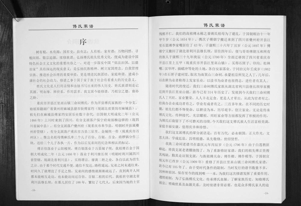 图片[2]-重庆开州区开县巫山镇三命祠傅氏家谱电子版PDF下载-中华家谱网