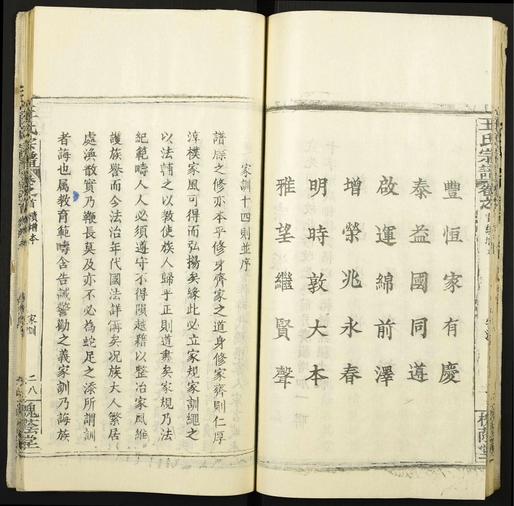 图片[4]-湖北武汉新洲区王氏宗谱（槐荫堂）电子版PDF下载-中华家谱网