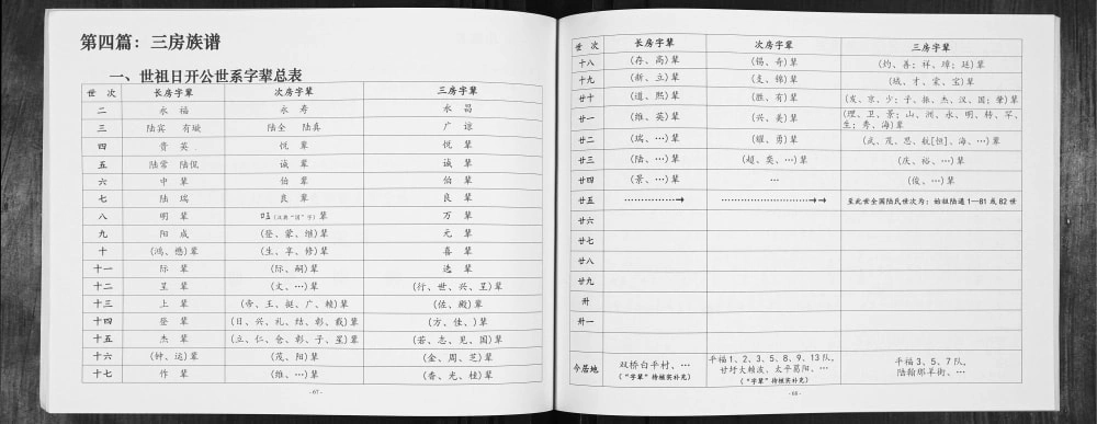 图片[4]-广西南宁武鸣区陆氏家史日开宗系三房族谱电子版PDF下载-中华家谱网