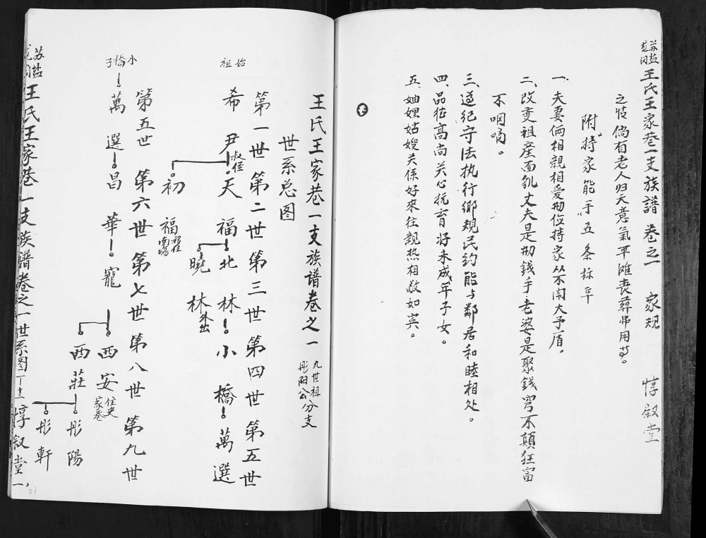 图片[7]-江苏盐城苏盐龙冈王氏王家巷一支族谱（惇叙堂）电子版PDF下载-中华家谱网
