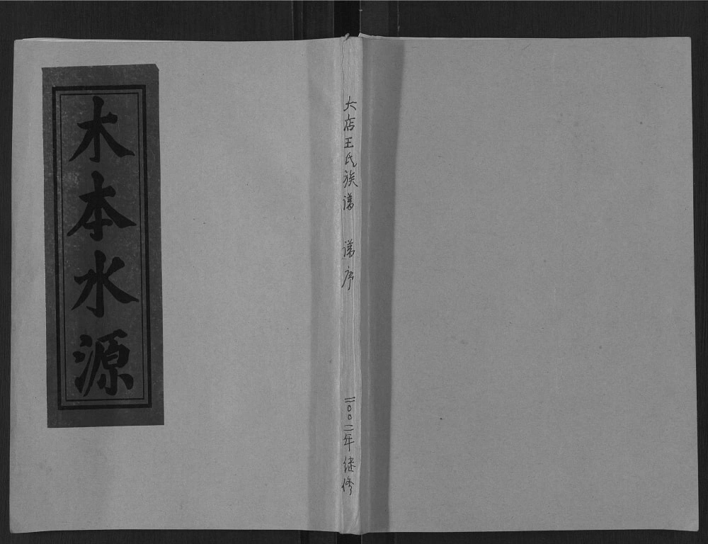 图片[1]-山东日照莒县鲁莒大店王氏族谱电子版PDF下载-中华家谱网