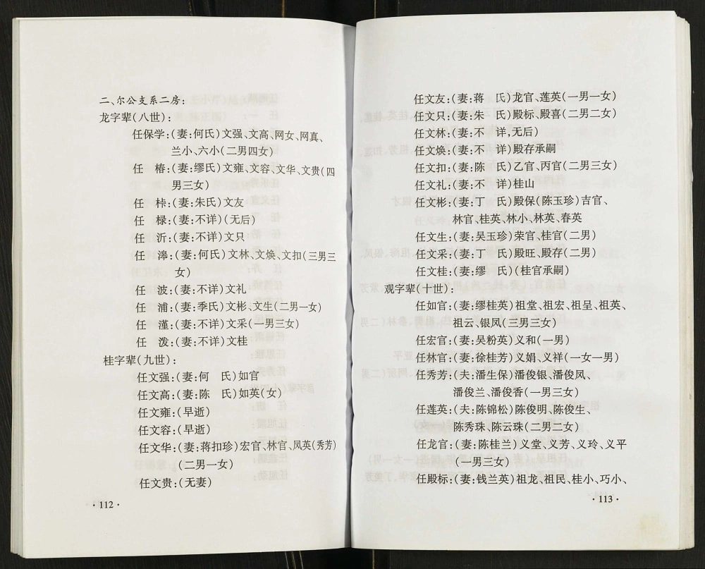 图片[8]-江苏盐城大丰区张麻套任氏家谱（五知堂）电子版PDF下载-中华家谱网