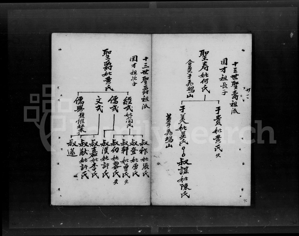 图片[6]-广东开平谭氏家谱电子版PDF下载-中华家谱网