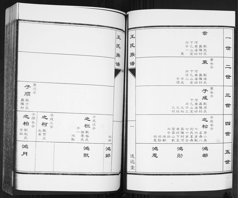 图片[5]-山东青岛即墨王氏族谱（追远堂）电子版PDF下载-中华家谱网