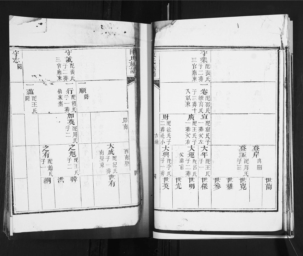 图片[7]-山东青岛城阳区陈氏族谱（时思堂）电子版PDF下载-中华家谱网