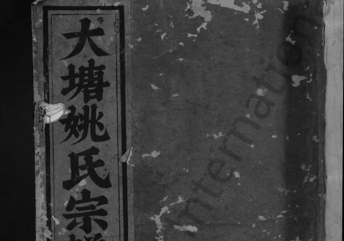 浙江东阳大塘姚氏宗谱电子版PDF下载-中华家谱网