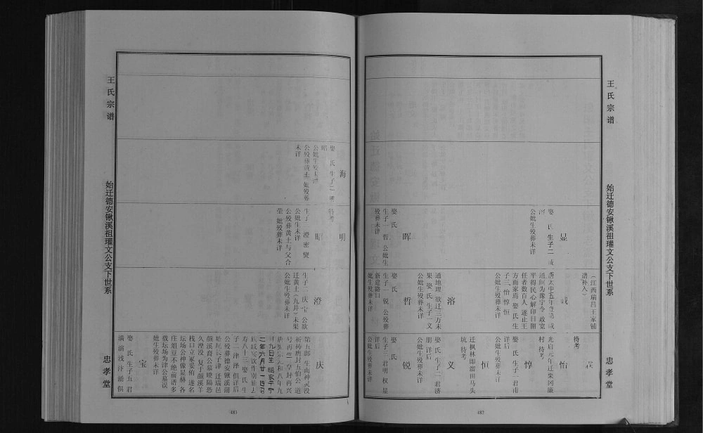 图片[8]-江西九江德安县王氏宗谱（忠孝堂）电子版PDF下载-中华家谱网