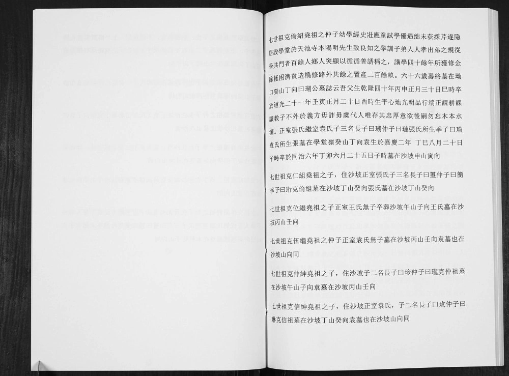 图片[7]-贵州仁怀王氏宗谱电子版PDF下载-中华家谱网