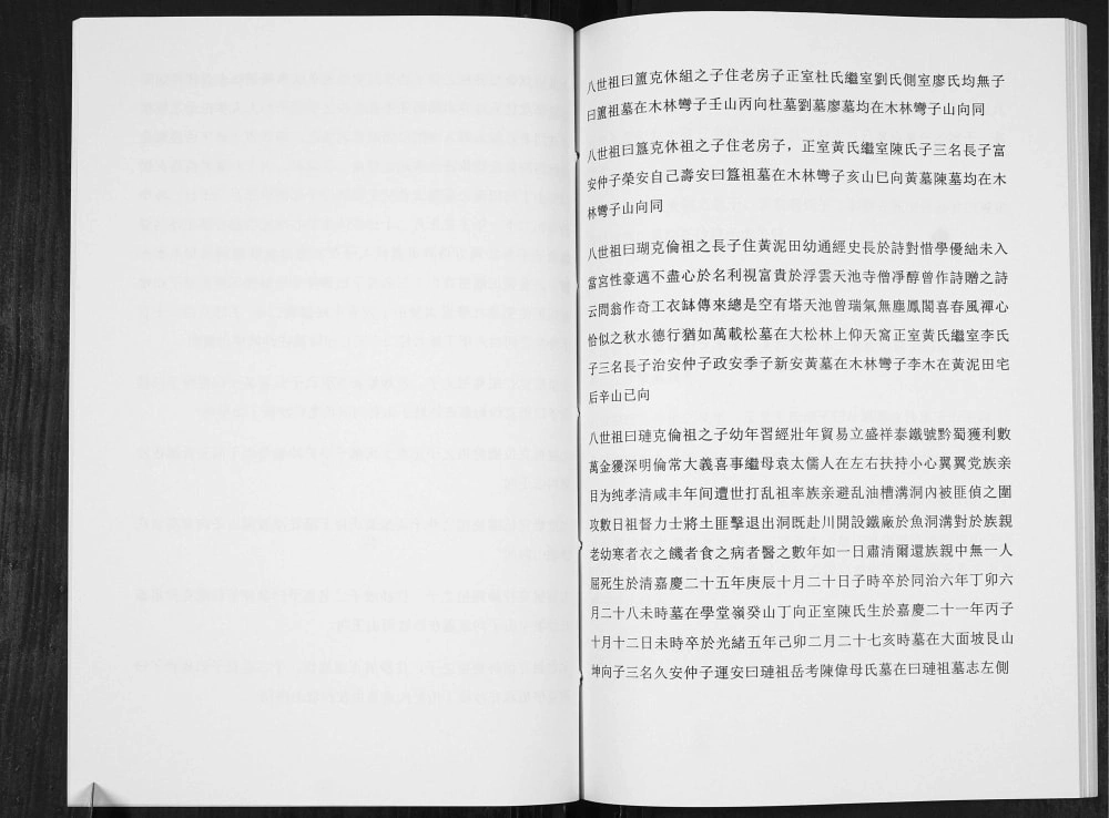 图片[8]-贵州仁怀王氏宗谱电子版PDF下载-中华家谱网
