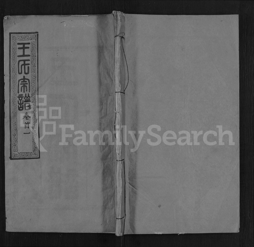 图片[1]-湖北黄冈王氏宗谱（孝友堂）电子版PDF下载-中华家谱网