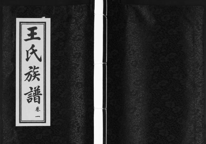 山东青岛城阳区王氏笃能公世系族谱-中华家谱网