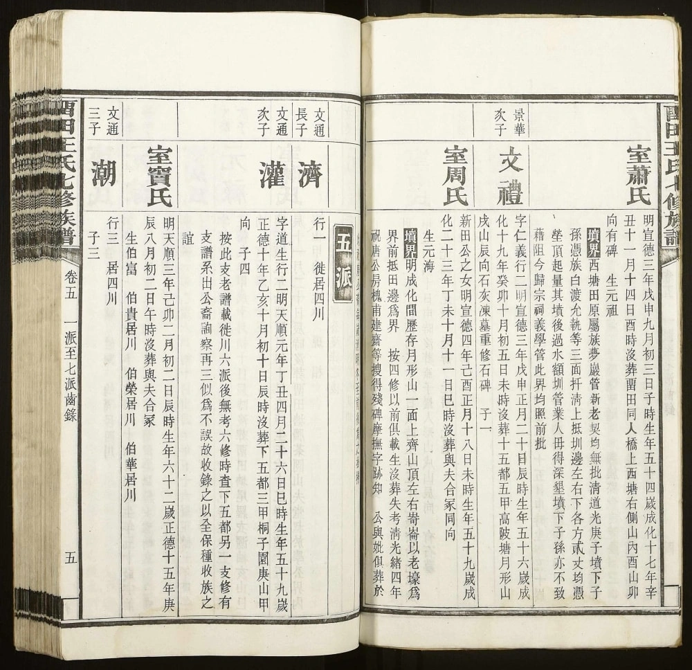 图片[8]-湖南湘潭中湘留田王氏七修族谱电子版PDF下载-中华家谱网
