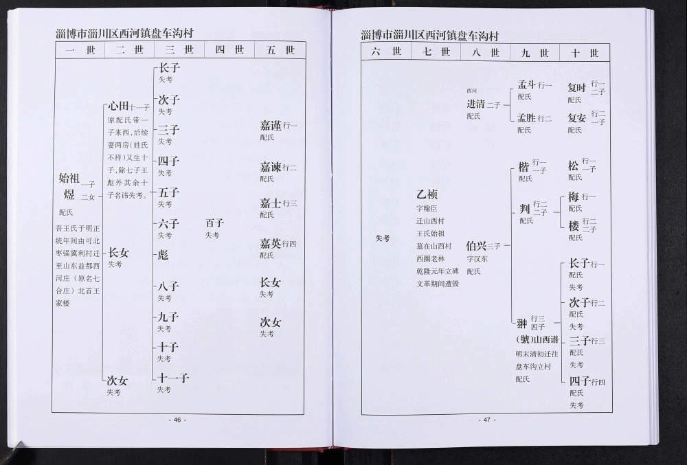 图片[6]-山东淄博盘车沟王氏族谱电子版PDF下载-中华家谱网