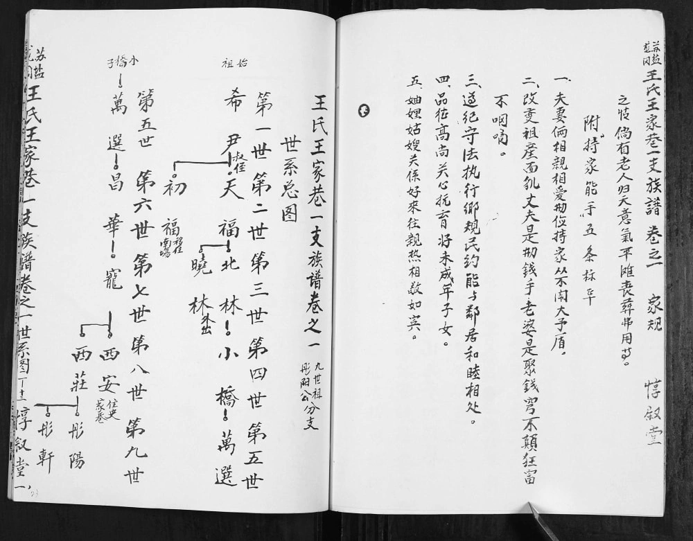 图片[8]-江苏盐城苏盐龙冈王氏王家巷一支族谱（惇叙堂）电子版PDF下载-中华家谱网