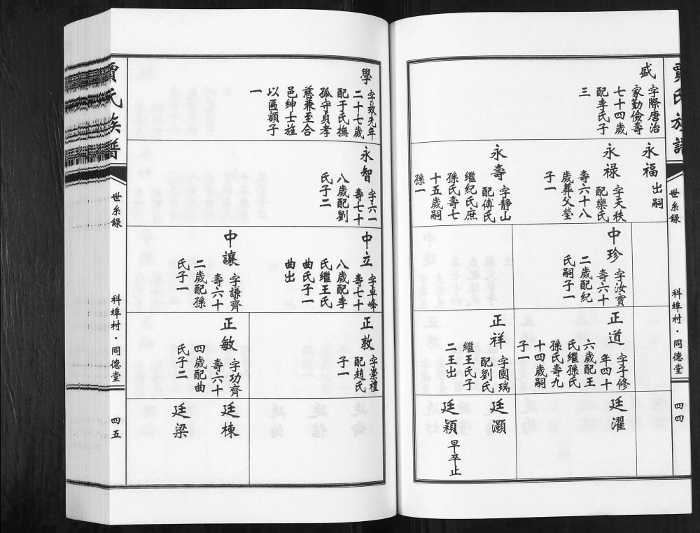 图片[7]-山东青岛城阳区贾氏族谱（同德堂）电子版PDF下载-中华家谱网