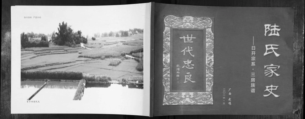图片[1]-广西南宁武鸣区陆氏家史日开宗系三房族谱电子版PDF下载-中华家谱网