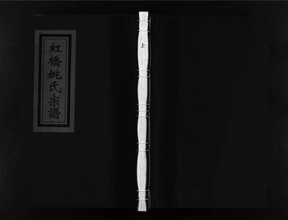 图片[1]-浙江乐清虹桥姚氏宗谱电子版PDF下载-中华家谱网