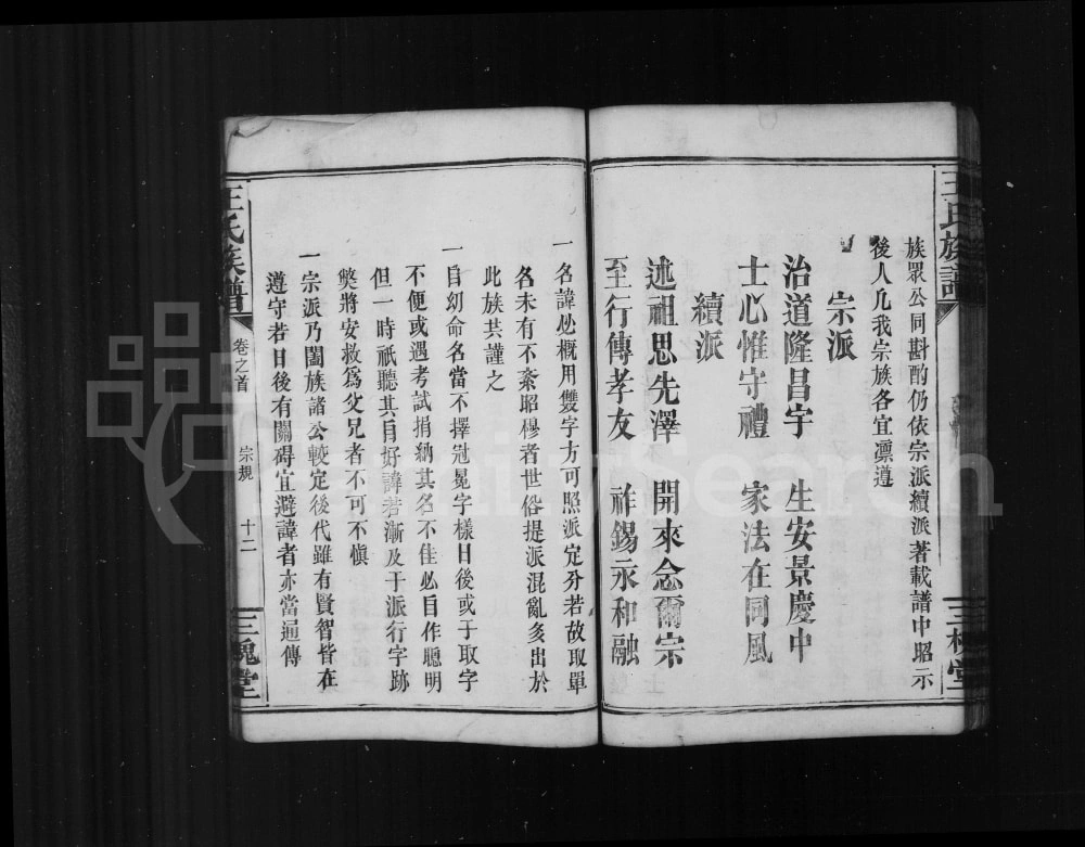 图片[4]-湖南湘乡王氏族谱（三槐堂）电子版PDF下载-中华家谱网