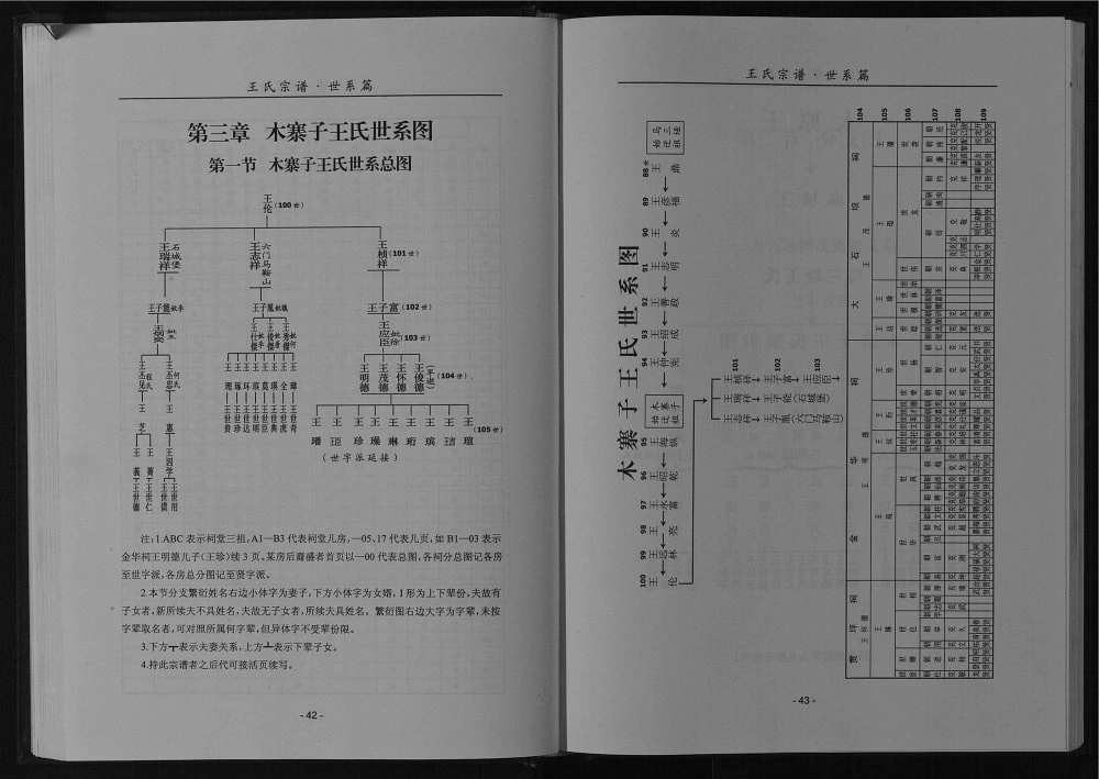 图片[7]-四川巴中平昌县木寨子王氏宗谱电子版PDF下载-中华家谱网