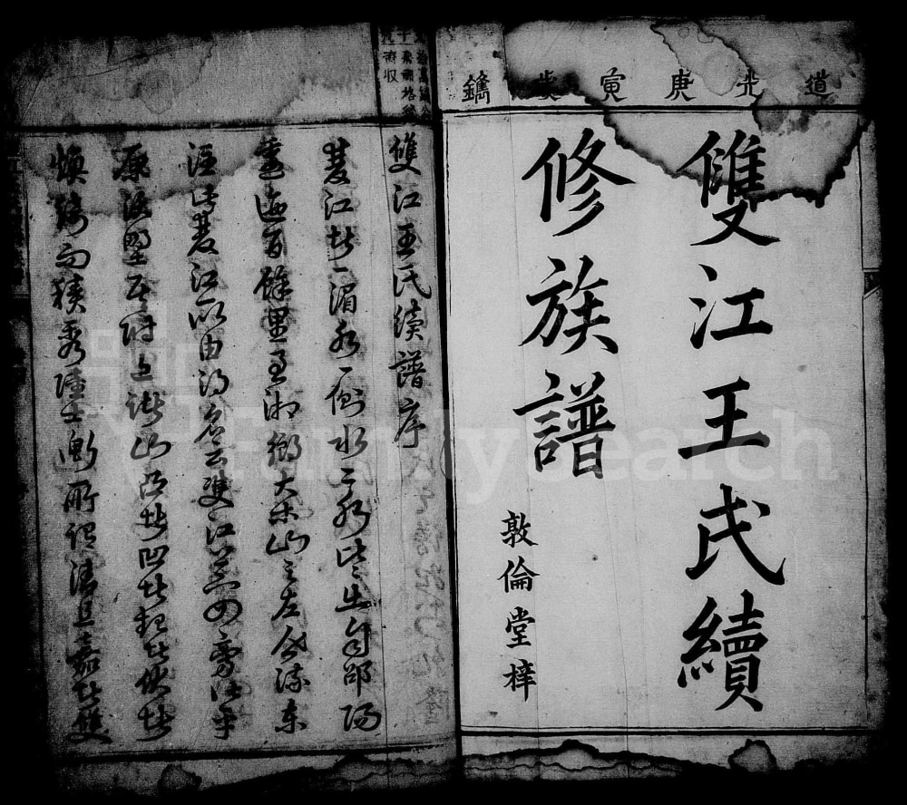 图片[2]-湖南湘乡双江王氏续修族谱（敦伦堂）电子版PDF下载-中华家谱网