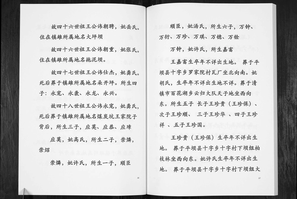 图片[8]-贵州毕节云南镇雄王氏族谱电子版PDF下载-中华家谱网