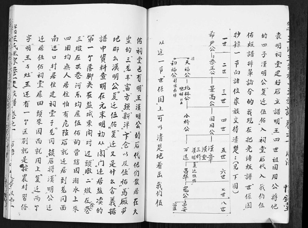 图片[5]-江苏盐城苏盐龙冈王氏王家巷一支族谱（惇叙堂）电子版PDF下载-中华家谱网