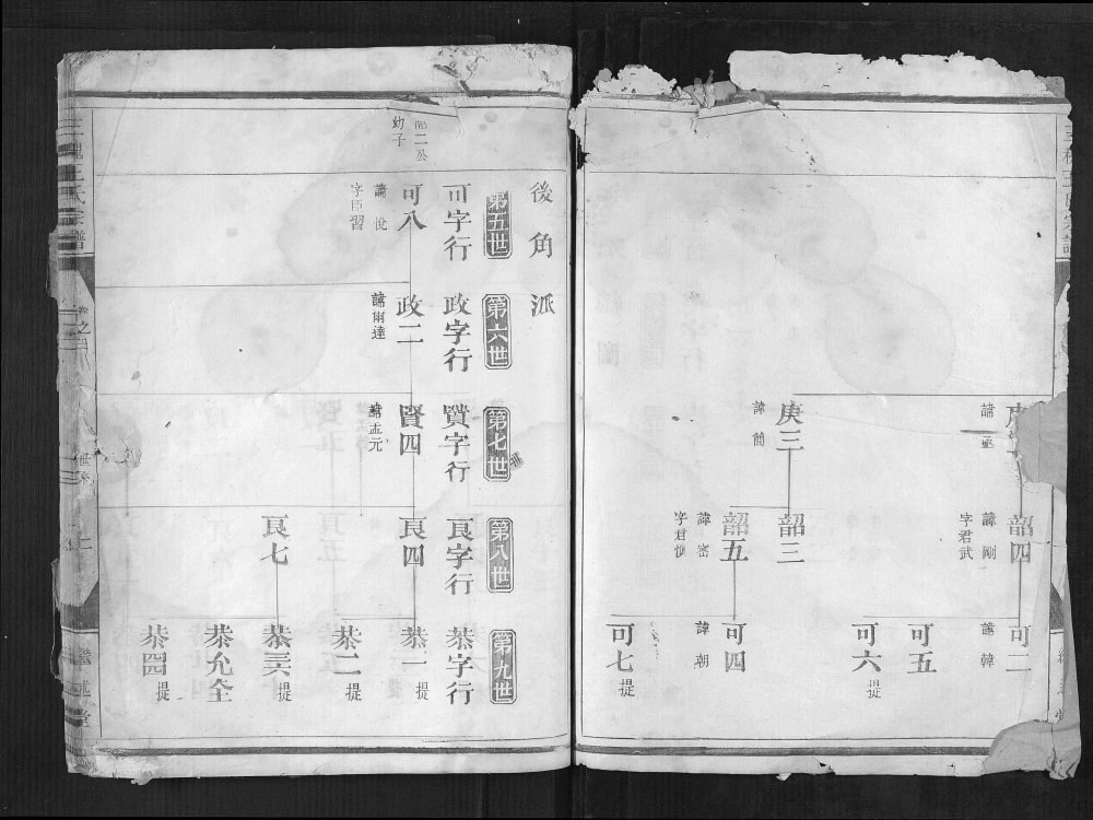 图片[4]-浙江金华三槐王氏宗谱（继述堂）电子版PDF下载-中华家谱网