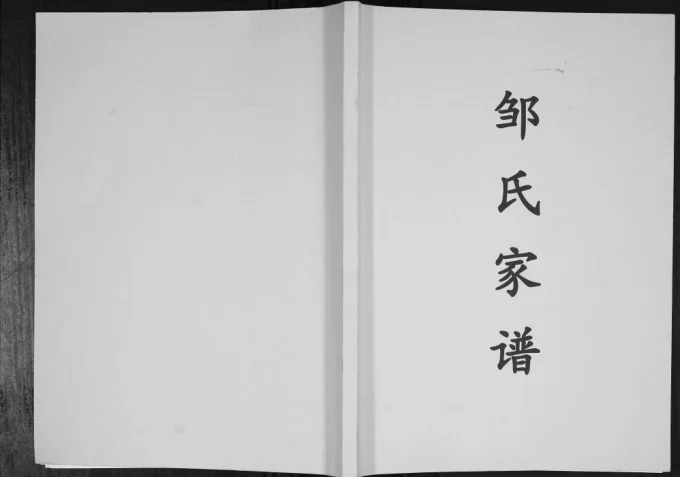 贵州六盘水盘县邹氏家谱-中华家谱网
