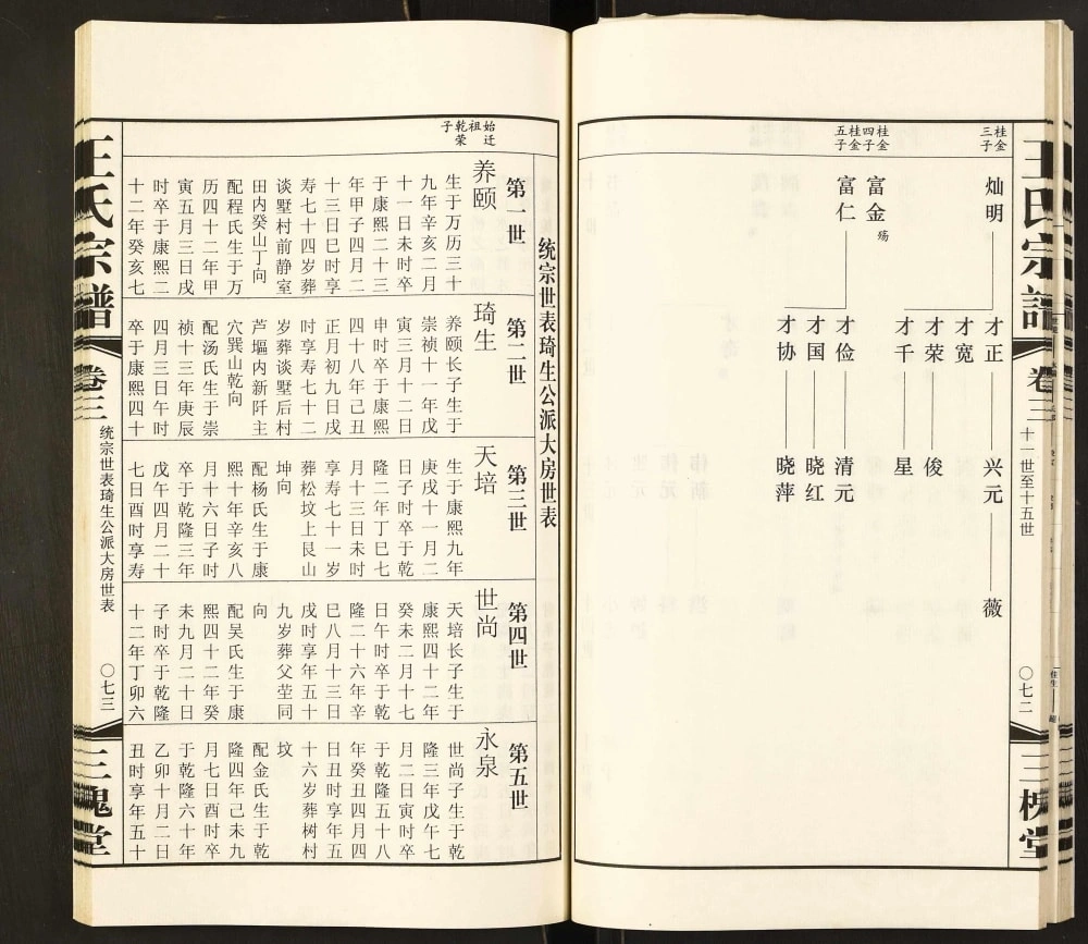 图片[5]-江苏常州武进区南王王氏宗谱（三槐堂）电子版PDF下载-中华家谱网