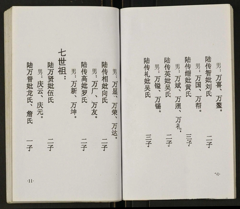 图片[7]-四川达州开江陆氏宗谱电子版PDF下载-中华家谱网