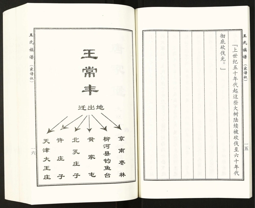 图片[4]-河北沧州盐山县唐家堡王常丰村王氏族谱电子版PDF下载-中华家谱网