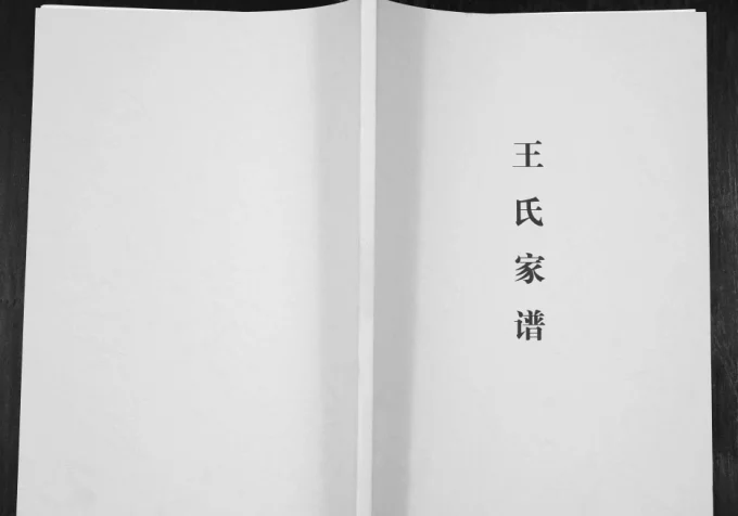 贵州毕节云南镇雄王氏族谱电子版PDF下载-中华家谱网