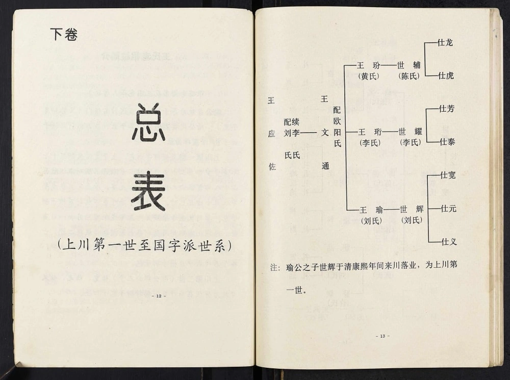 图片[6]-重庆云阳县王氏族谱电子版PDF下载-中华家谱网