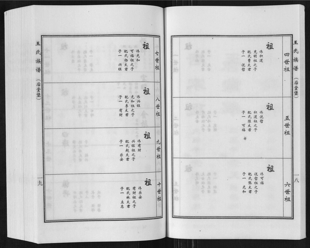 图片[6]-河北沧州盐山县唐家堡王常丰村王氏族谱电子版PDF下载-中华家谱网