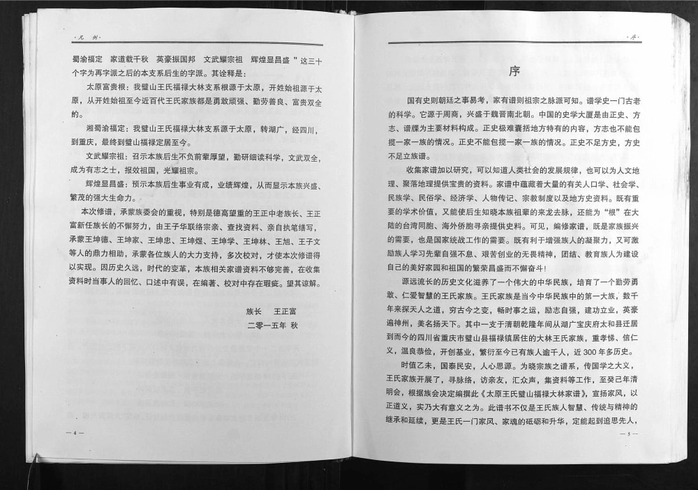 图片[2]-重庆璧山区太原王氏璧山福禄大林家族族谱电子版PDF下载-中华家谱网