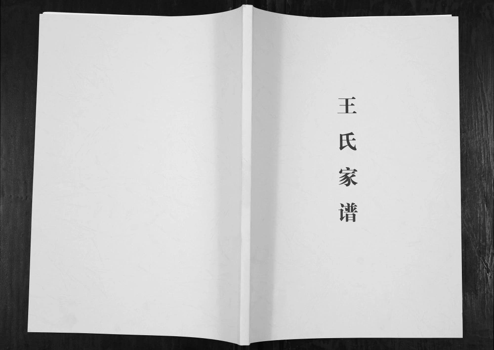 图片[1]-贵州毕节云南镇雄王氏族谱电子版PDF下载-中华家谱网