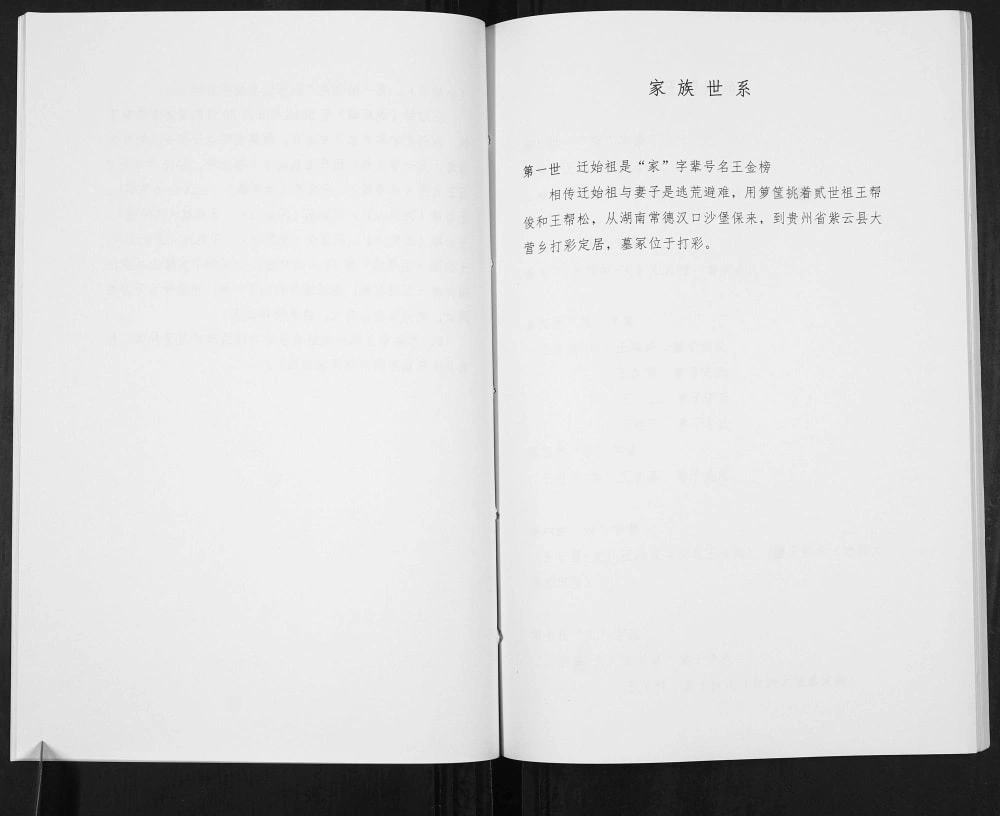 图片[7]-贵州安顺紫云县王氏家谱（太原堂）电子版PDF下载-中华家谱网