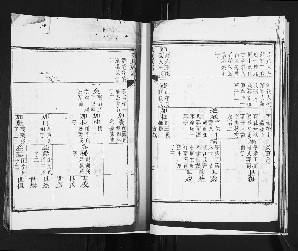 图片[6]-山东青岛城阳区陈氏族谱（时思堂）电子版PDF下载-中华家谱网