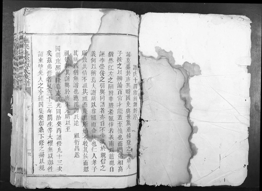 图片[1]-江西抚州乐安县抚乐池溪谭氏族谱电子版PDF下载-中华家谱网