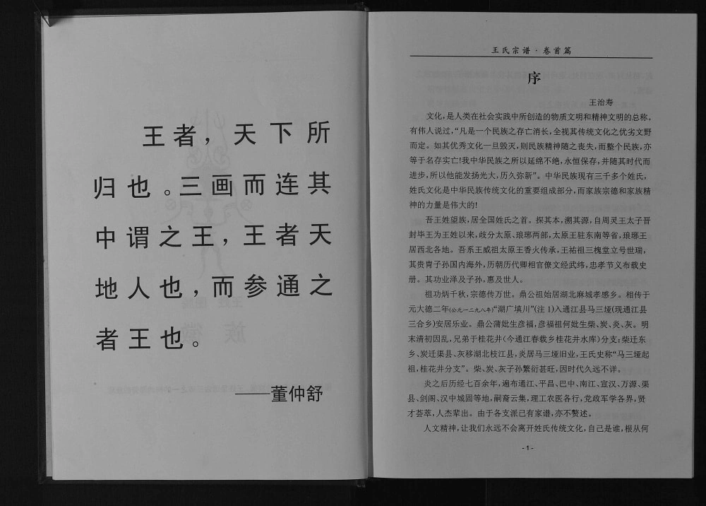图片[3]-四川巴中平昌县木寨子王氏宗谱电子版PDF下载-中华家谱网