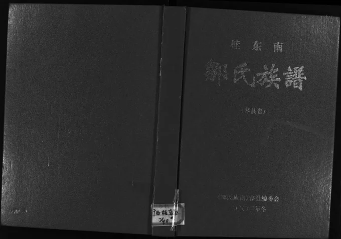广西玉林容县桂东南邹氏族谱电子版PDF下载-中华家谱网
