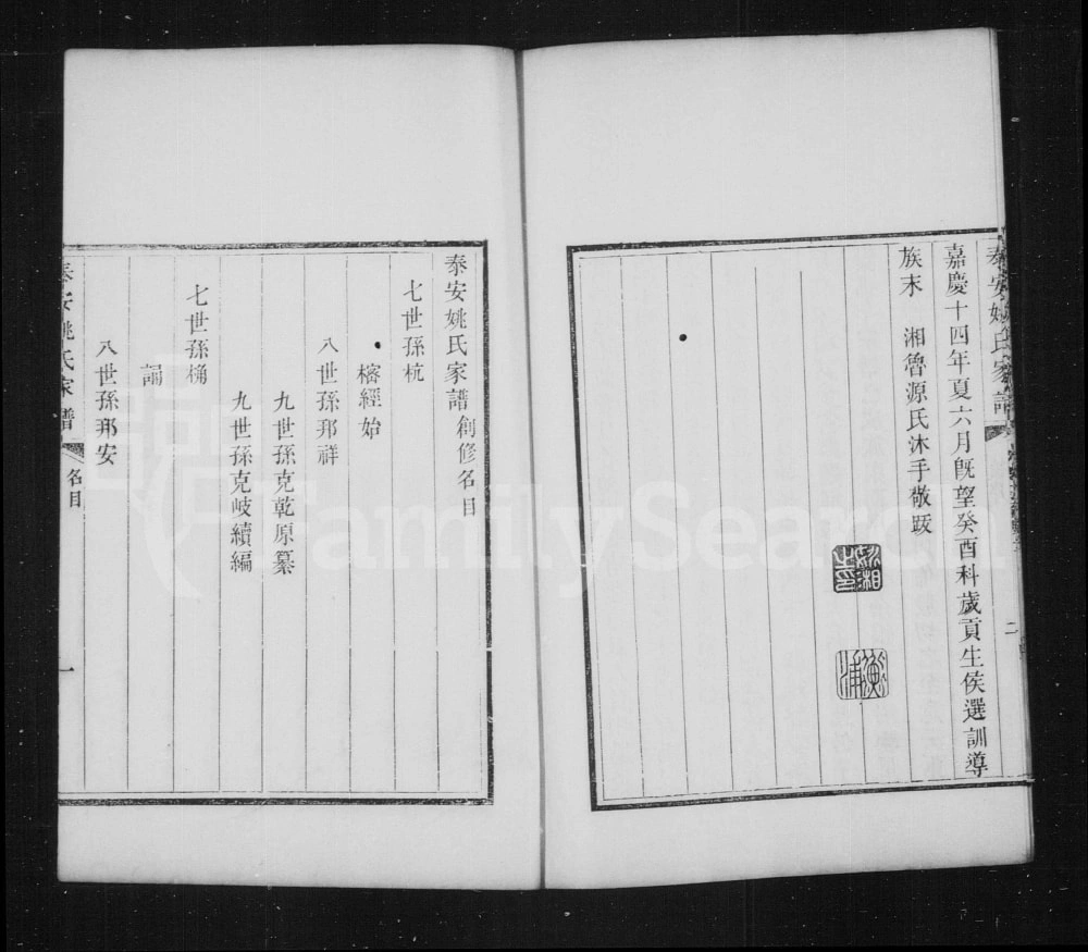 图片[8]-山东泰安姚氏家谱电子版PDF下载-中华家谱网