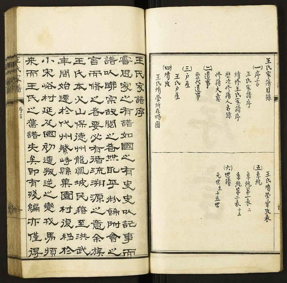 图片[2]-山西忻州繁峙县王氏家谱电子版PDF下载-中华家谱网